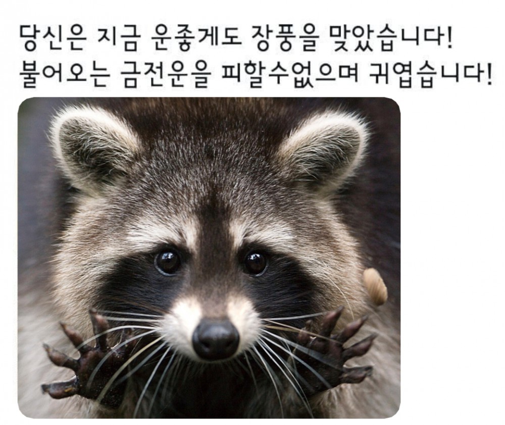 508891d7bfa94eca4d2795d15ad28bb8_1713852394_3319.jpg